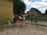 Billede