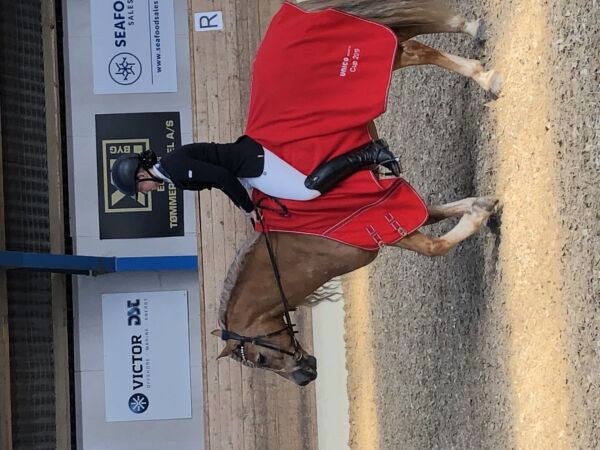 Billede