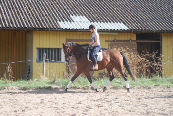 Billede