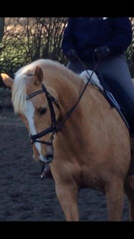 Billede