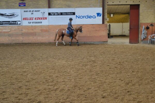 Billede