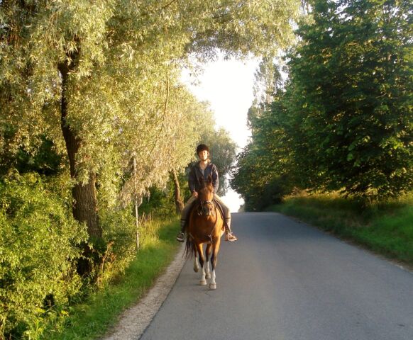 Billede