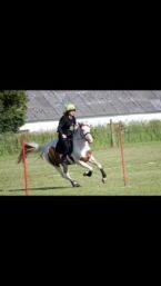 Billede