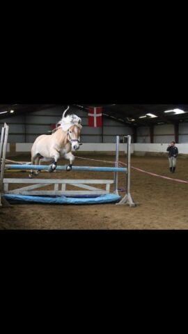 Billede
