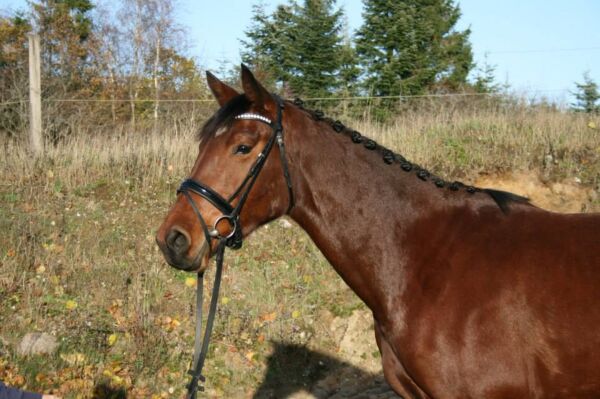Billede