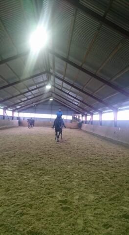 Billede