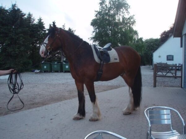 Billede