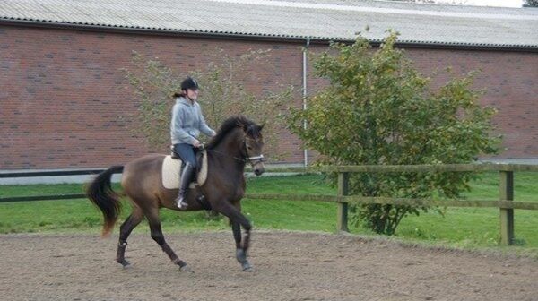Billede