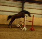 Billede