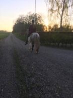 Billede