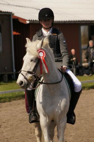Billede