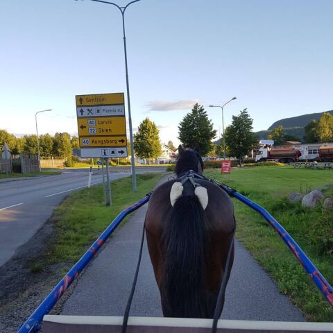 Billede