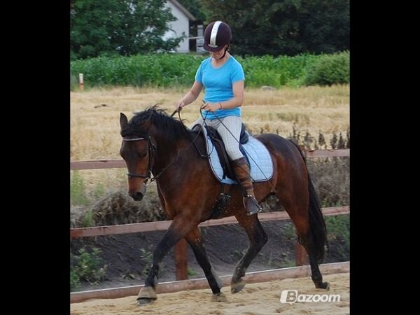 Billede