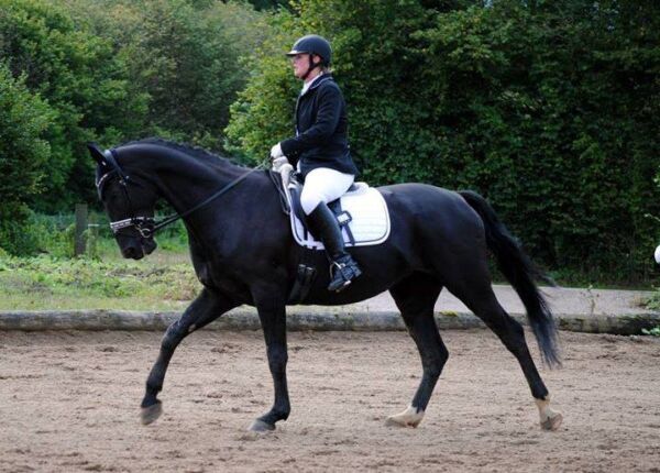 Billede