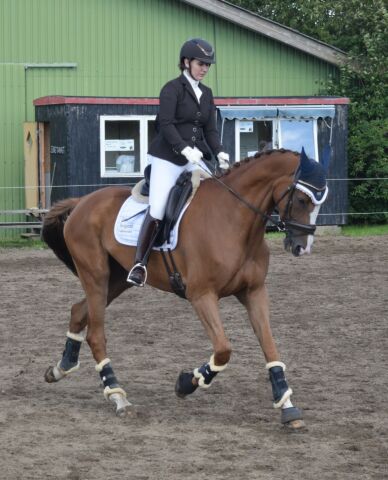 Billede