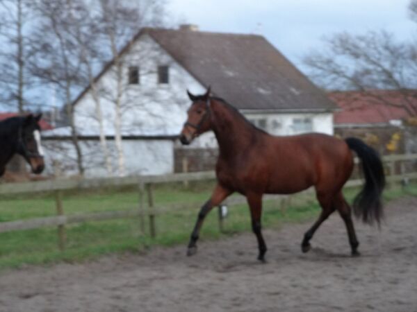 Billede
