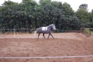 Billede