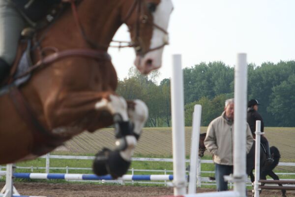 Billede
