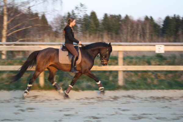 Billede