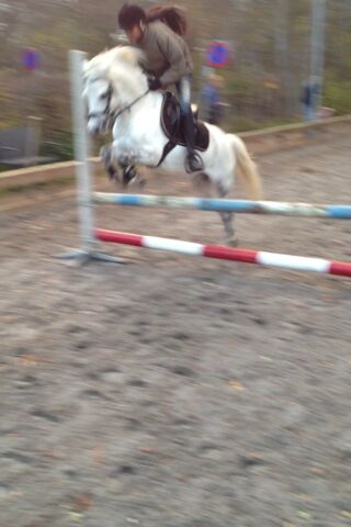 Billede