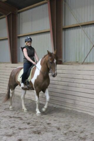 Billede
