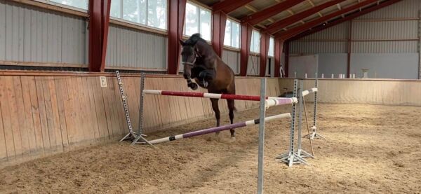 Billede