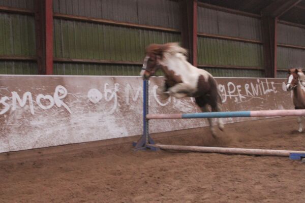 Billede