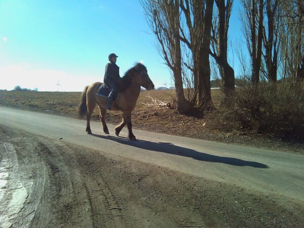Billede