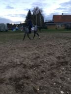 Billede