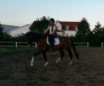 Billede