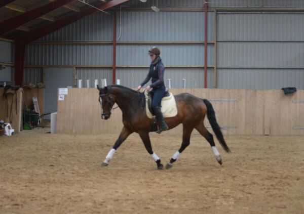 Billede