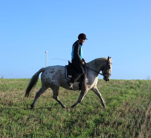 Billede