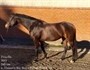 Billede