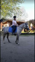 Billede