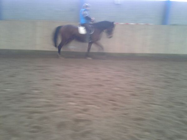 Billede