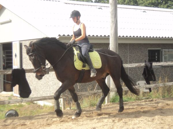 Billede