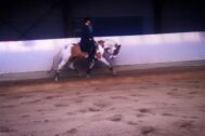 Billede