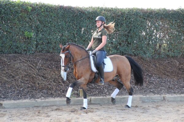 Billede