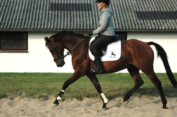 Billede