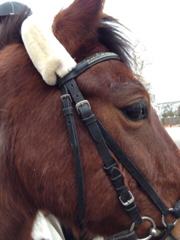 Billede
