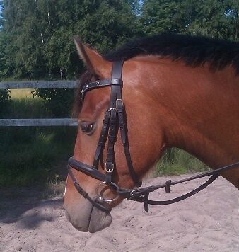 Billede