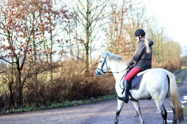 Billede