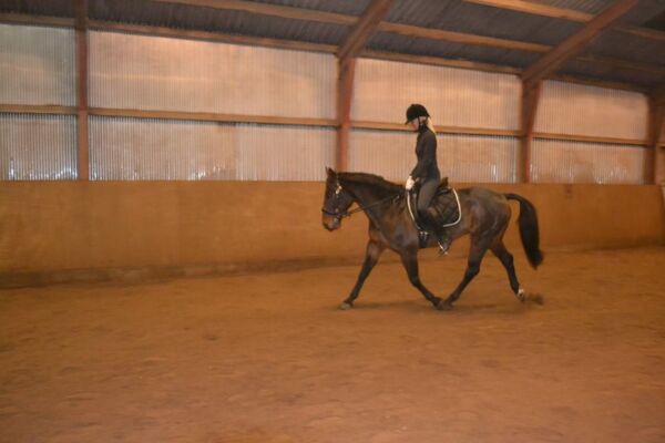 Billede