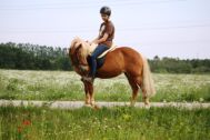 Billede
