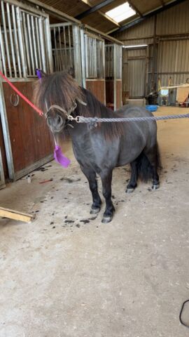 Billede
