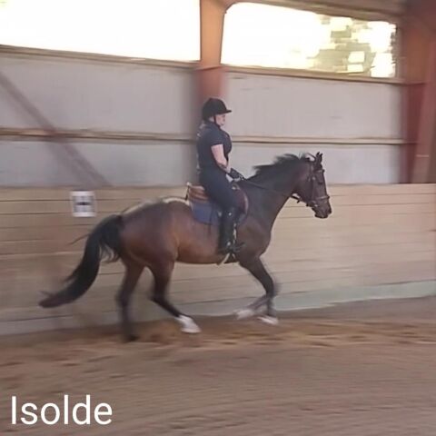 Billede