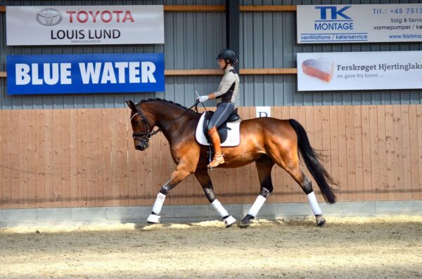 Billede