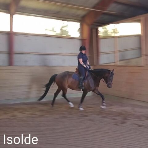 Billede