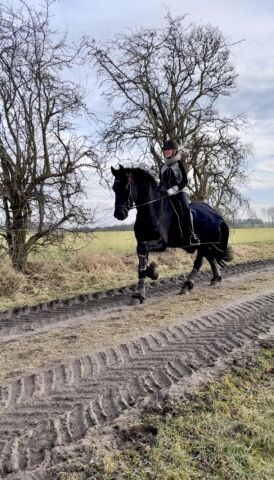 Billede