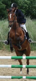 Billede